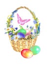 Watercolor Easter eggs basket with spring flowers and tropical butterflies. Royalty Free Stock Photo
